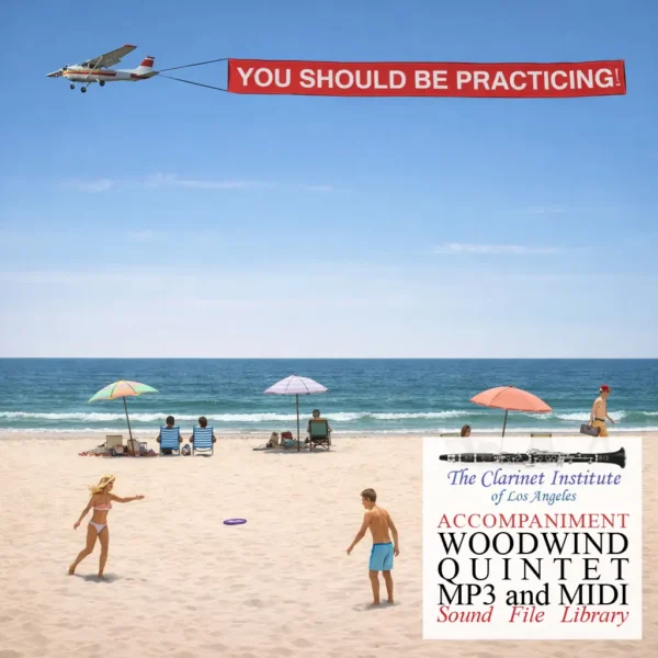 Cover for Woodwind Quintet Sound files depicting a beach with "YOUI SHOULD BE PRACTICING"